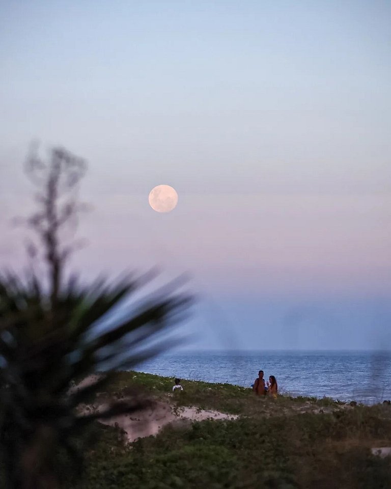 Essence Campeche: Charme e acesso VIP a praia.